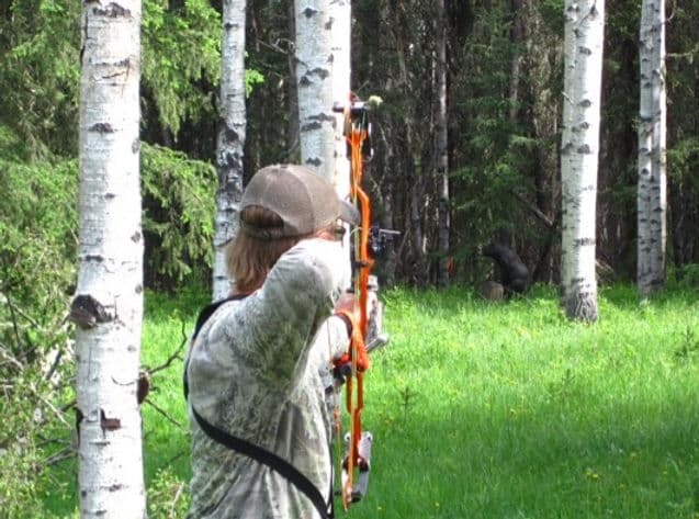 Dragon Flight Archery